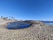 La platja de Capellans de Salou s’administra amb 4.000 m³ de sorra per la seva regeneració