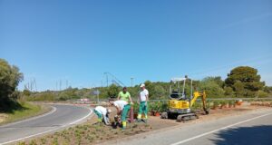 Millores en els parterres mediterranis del Camí del Racó a Salou
