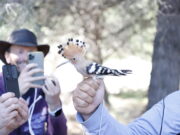 Cap Salou acull la V edició del BioBlitz per estudiar la biodiversitat