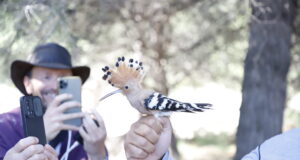 Cap Salou acull la V edició del BioBlitz per estudiar la biodiversitat