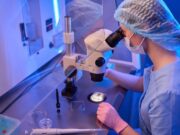 Investigadors milloren els ovòcits immadurs amb una combinació d’antioxidants
