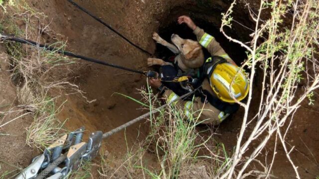 Rescat d'un gos que havia caigut en un forat d'uns 10 metres a prop de l'ermita de Santa Maria a Cambrils